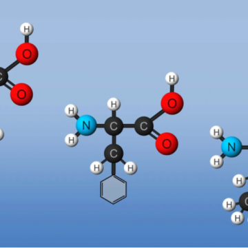 Công nghệ thủy phân cá, dịch trùng quế, dịch tôm bằng công nghệ enzyme