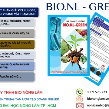BIO-GREEN (dạng rắn)