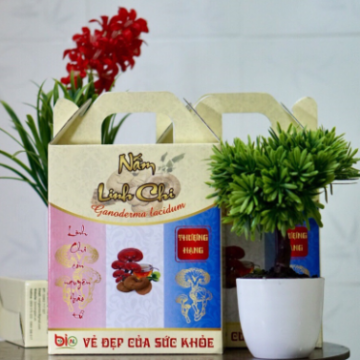 Hộp nấm Linh Chi