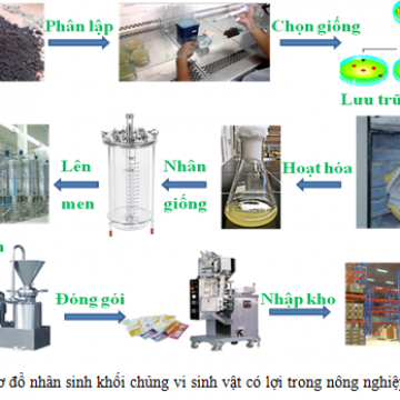 Chuyển giao công nghệ kỹ thuật: nhân sinh khối vi sinh vật